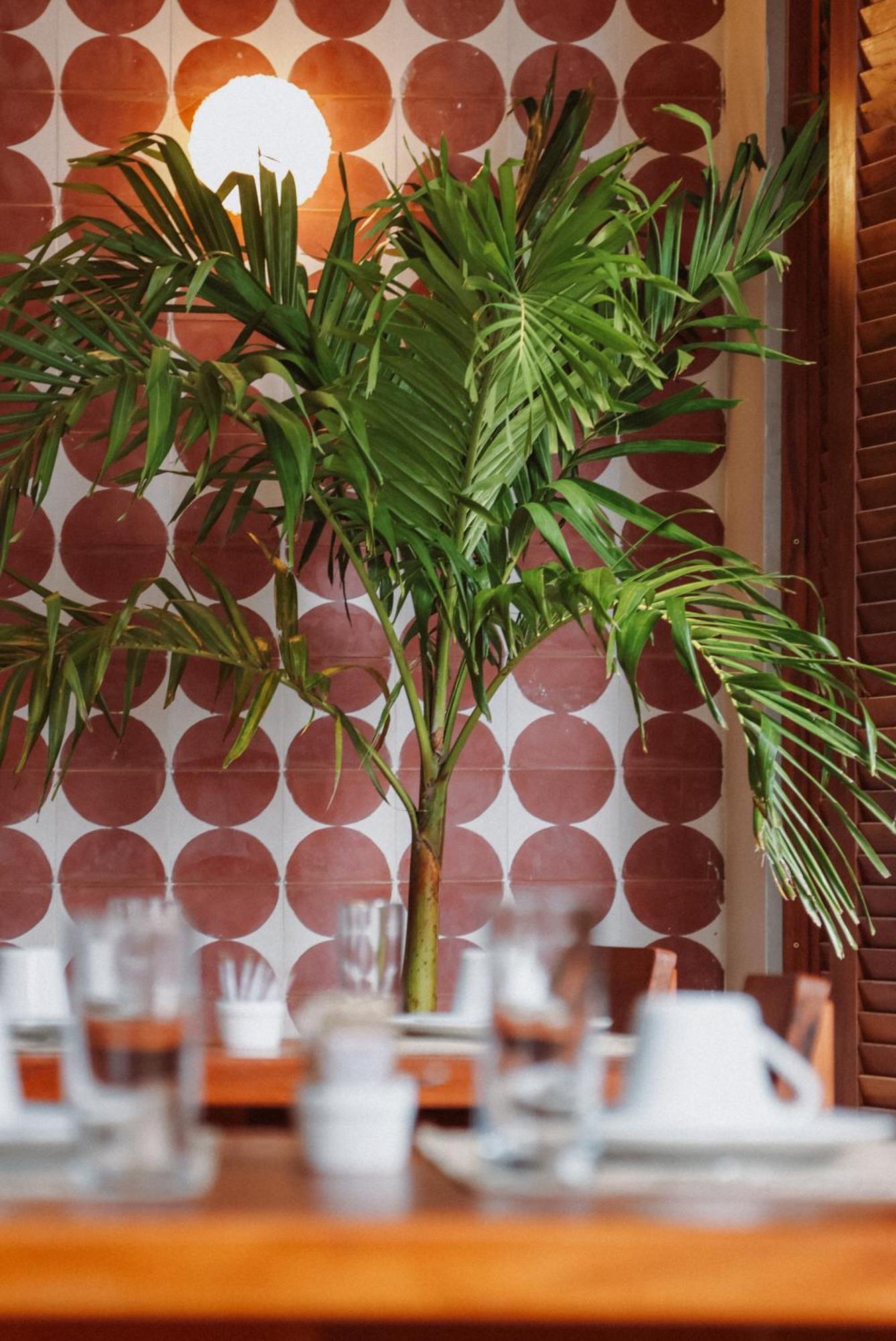 Luau Hotel Guajiru  Ngoại thất bức ảnh