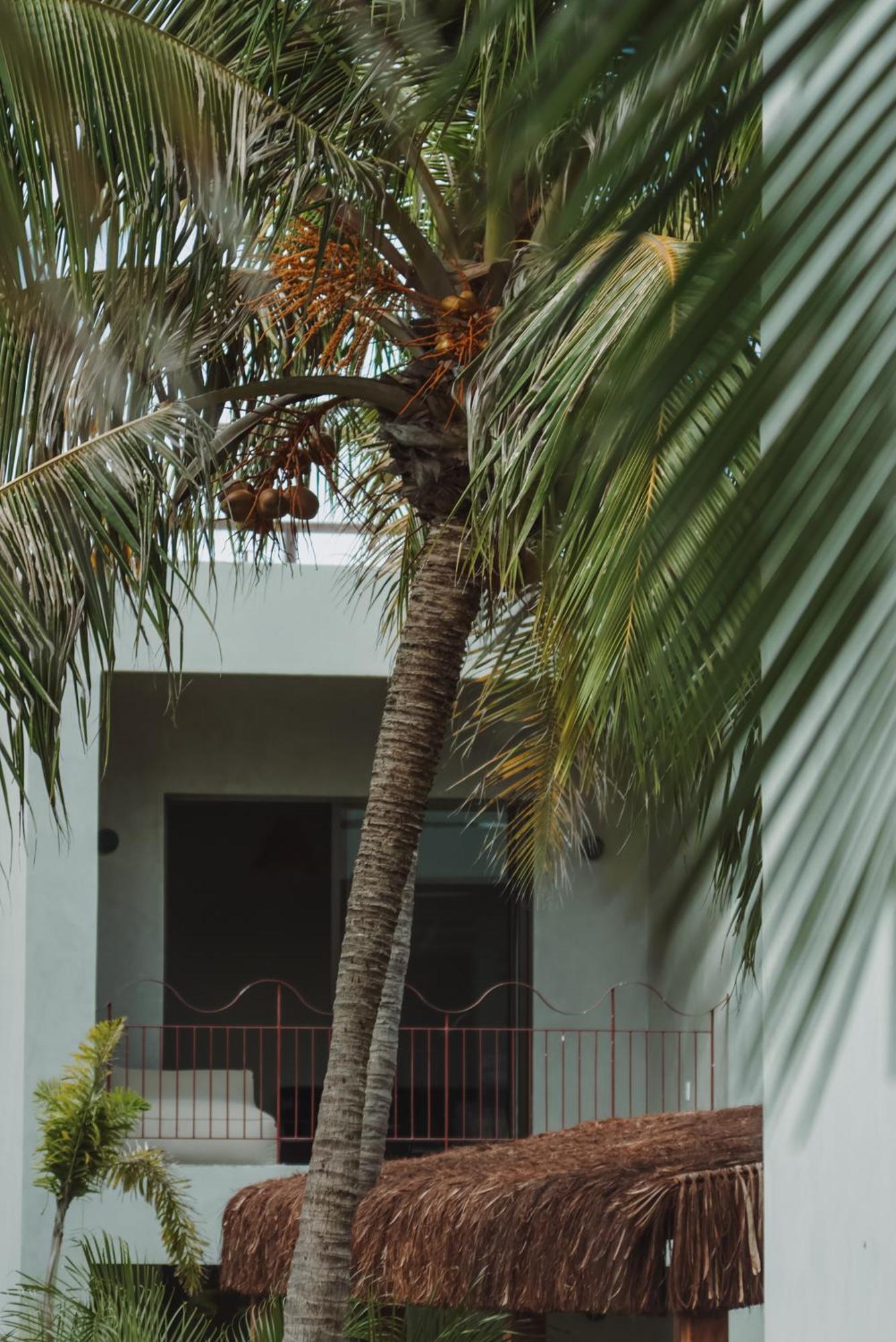 Luau Hotel Guajiru  Ngoại thất bức ảnh
